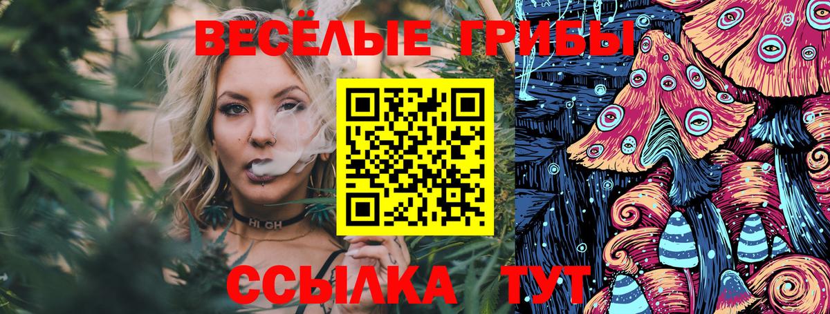 где купить наркоту  Псилоцибиновые грибы Psilocybine cubensis  Вход с VPN  Стрежевой 